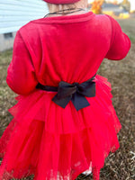 PREORDER: The Little Mrs. Claus Dress 11.11.24 osym