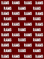 GAME DAY BLANKETS