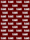 GAME DAY BLANKETS